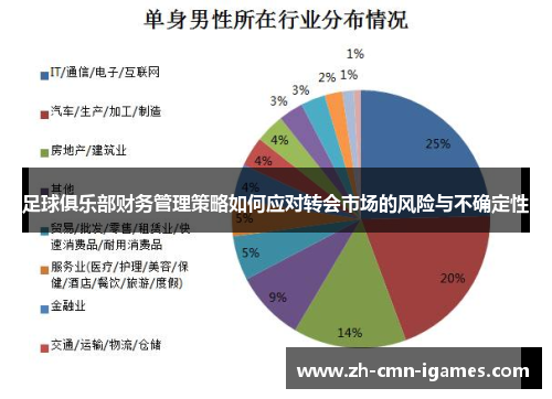 足球俱乐部财务管理策略如何应对转会市场的风险与不确定性