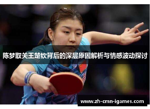 陈梦取关王楚钦背后的深层原因解析与情感波动探讨
