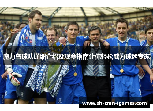 魔力鸟球队详细介绍及观赛指南让你轻松成为球迷专家