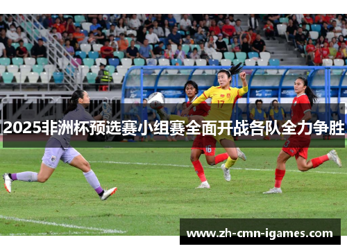 2025非洲杯预选赛小组赛全面开战各队全力争胜